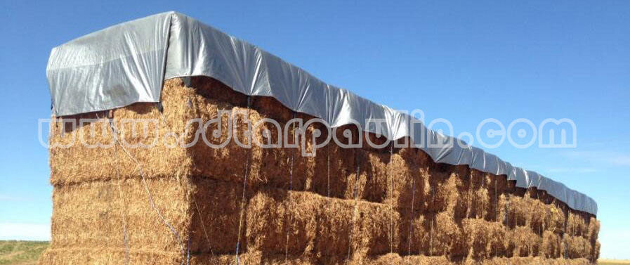 Sliver Waterproof PE Tarpaulin Poly Tarpaulin