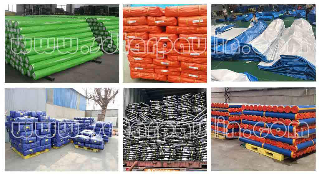 Sliver Waterproof PE Tarpaulin Poly Tarpaulin